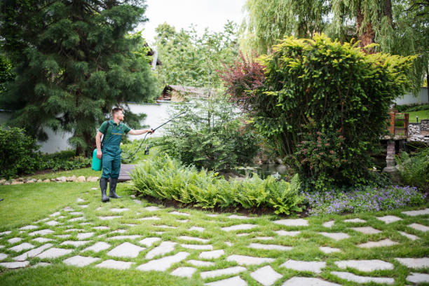 Lawn Pest Prevention in Hilbert, WI