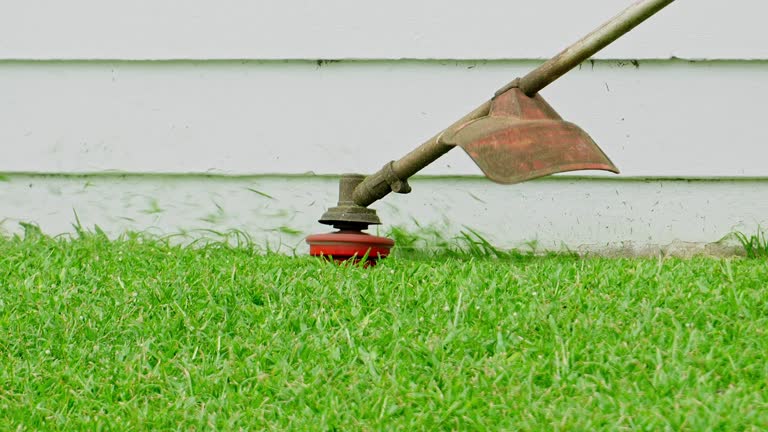 Best Lawn Irrigation Installation and Maintenance  in Hilbert, WI