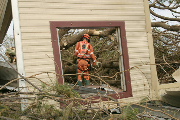 Leaf Removal in Hilbert, WI