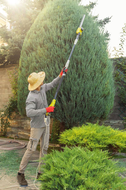 Best Utility Line Clearance  in Hilbert, WI